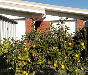 Homely 2BR House with attached garage in Welbourn - Photo 4