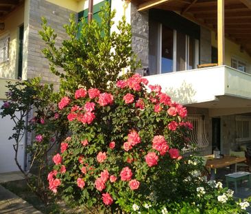 Διαμέρισμα για ενοικίαση - Ευρωστίνη, - Photo 1