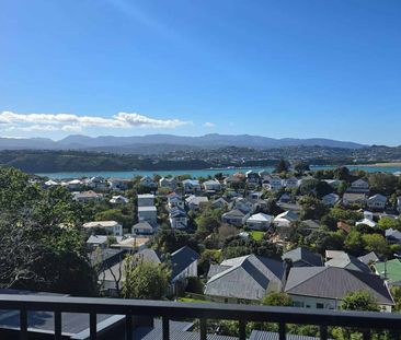 Charming 4BR Hataitai Haven w/ AC & Balcony - Photo 2