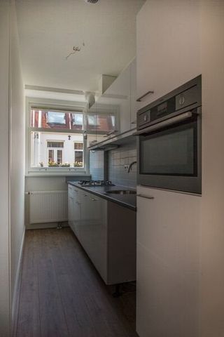 Van Ostadestraat 415 1074VZ Amsterdam - Photo 2