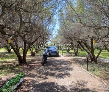 Μονοκατοικία για ενοικίαση Νέα Καλλικράτεια (Καλλικράτεια) - Photo 5