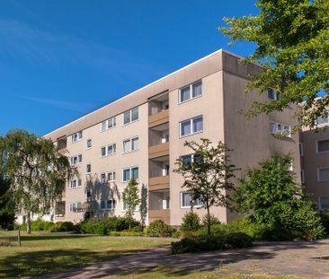 Komfortables Wohnen in Detmerode: 2-Zimmer-Wohnung mit sonniger Loggia - Foto 1