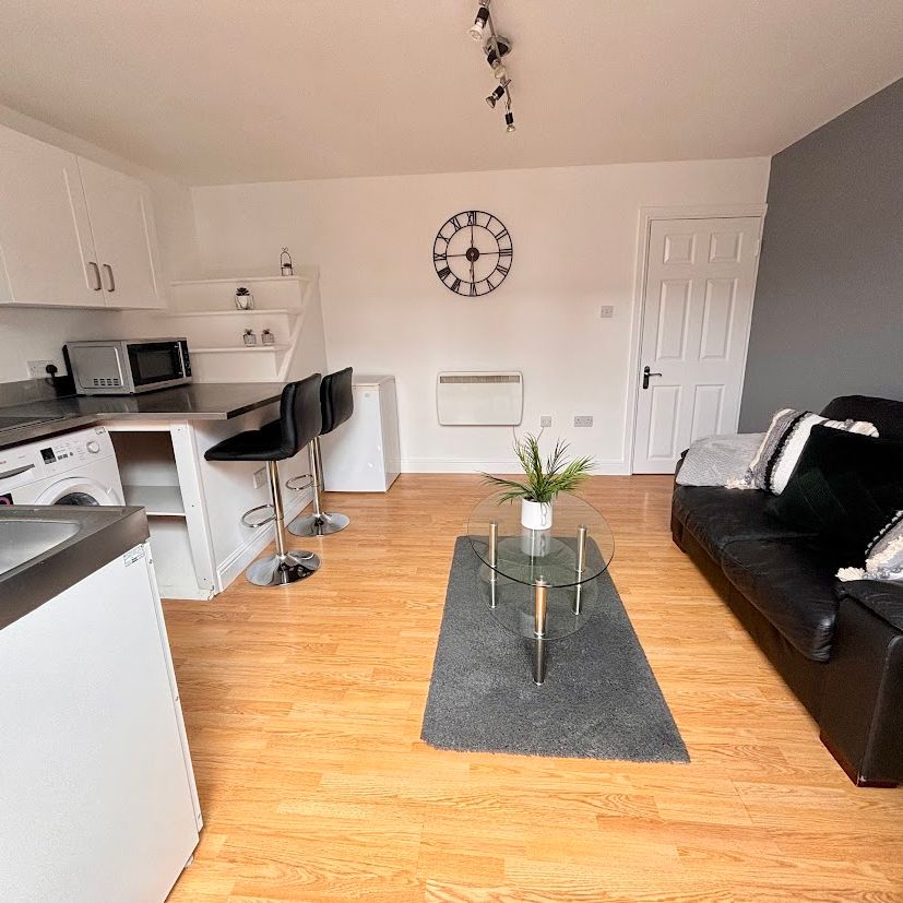 Flat 2, 49 Lower Ford Street – Student Accommodation Coventry - Photo 1