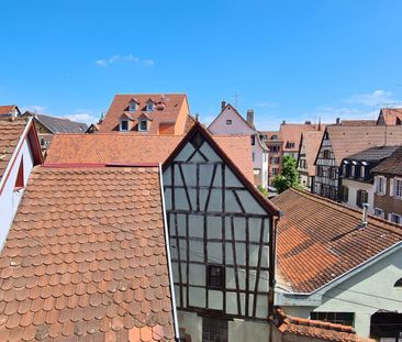 Studio 22m2 meublé centre Colmar - Photo 6