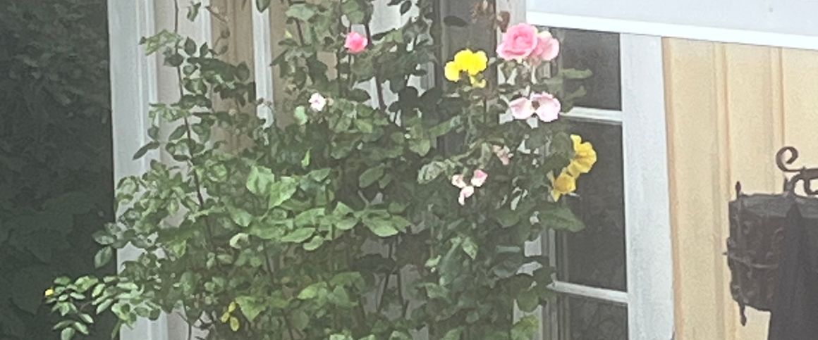 Amiralitetsgatan, Karlskrona - Photo 1