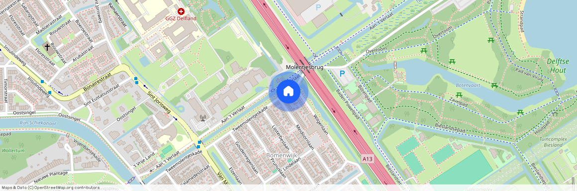 Bomenwijk, 2612 XZ, Tweemolentjeskade, Delft