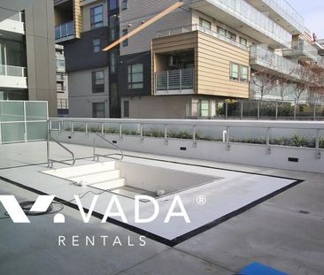 Unfurnished, 1 Bed 1 Bath Apartment For Rent - Photo 2