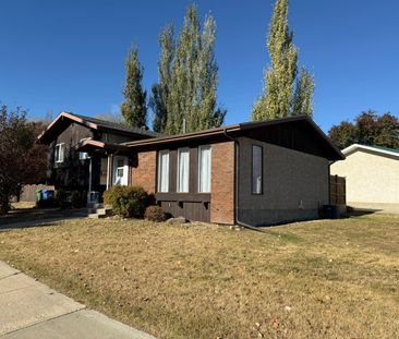 Perfect Family Home with Bonus Space in Normandeau - Photo 5