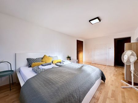 Voll ausgestattete Kurzzeitwohnung in Toplage von Steyr – ideal für Berufstätige oder Reisende - Photo 3