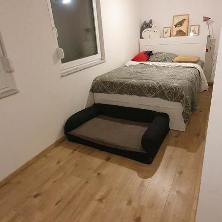 Mietwohnung Bad Waldsee - Photo 1