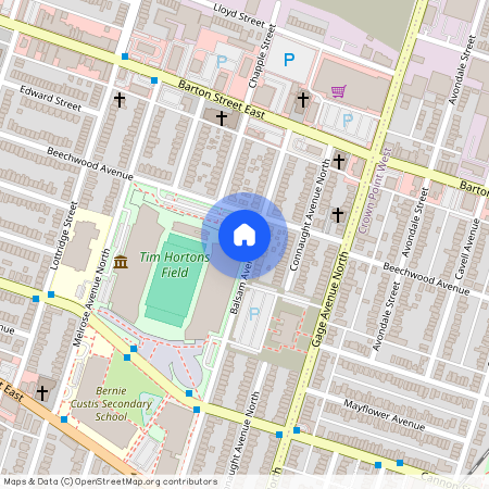 129 Balsam Avenue Unit# MAIN, LOWER, Hamilton