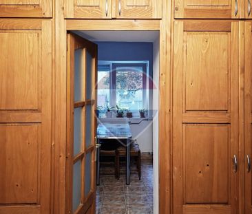 De închiriat apartament 4 camere, pet-friendly - Nufărul - Fotografie 5