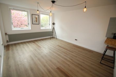 One Bedroom Apartment - Photo 4