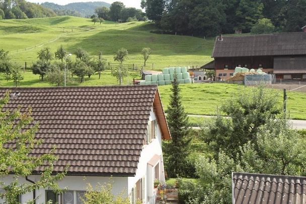 Heimelige Wohnung - Photo 1