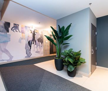 Avenue de l'Hôtel-de-Ville - Photo 6