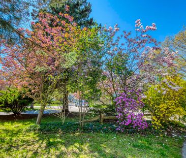 For Lease - 130 All Saints Crescent, Oakville, Ontario - Photo 6