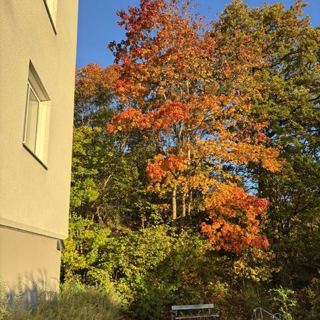 Olof Rudbecksgatan, Göteborg - Photo 3