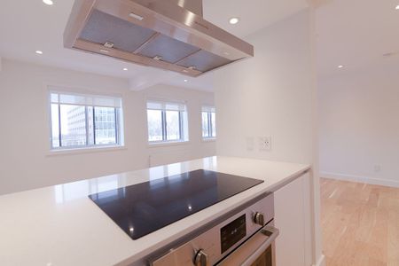 Condo for rent, Montréal (Côte-des-Neiges/Notre-Dame-de-Grâce) - Photo 4