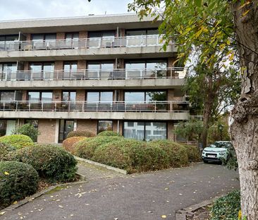 Appartement te huur in Kuurne - Foto 1