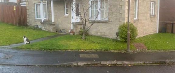 4 bedroom detached house to rent - Photo 1