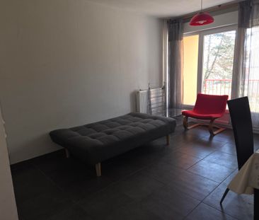 Location Appartement 1 pièce 24m² - Photo 2