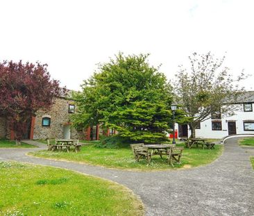 Farmhouse - Photo 4
