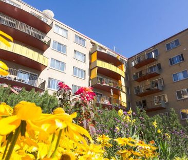 4 1/2 SILLERY PLAZA - PROMENADE CHAMPLAIN- libre ou novembre - Photo 1