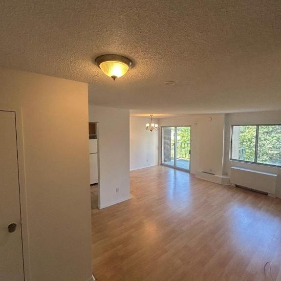 1 CH - 1 SDB - Côte Saint-Luc - $1,645 /mo - Photo 1