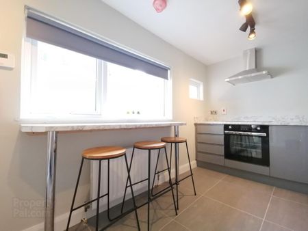 Rm 3, 93 Bloomfield Avenue, BT5, Belfast - Photo 4