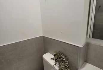 Calle Federico Maicas, Torrent, Valencian Community 46900