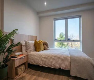 Superior Studio Floor 5-7 - Photo 5