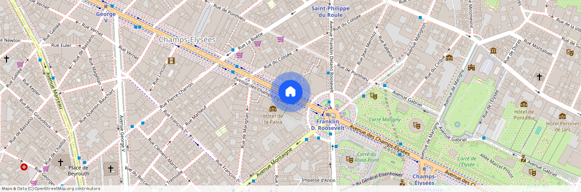Champs Élysées (PA-2989), Paris