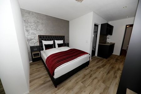 1-ROOM APARTMENT IN REICHENBURG (SZ), FURNISHED - Photo 4