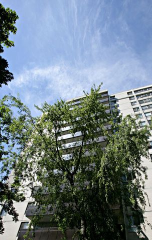 For Lease - 6200 Bathurst Street Unit# 312, Toronto, Ontario - Photo 2