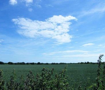 Millhead Villas, The Common, Great Wakering, Southend-on-sea, SS3 - Photo 1