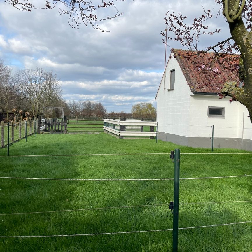 VILLA + kleine weide - Photo 1