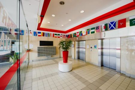 Single Studio Apartment - Photo 4