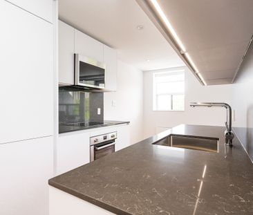 56 Eccleston Drive - Photo 2