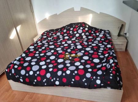 NICOLINA, Apartament 1 camera, dormitor + living, 35 mp - Fotografie 2