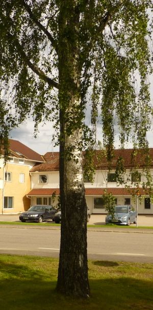 Stjärnsforsvägen, Uddeholm - Foto 1