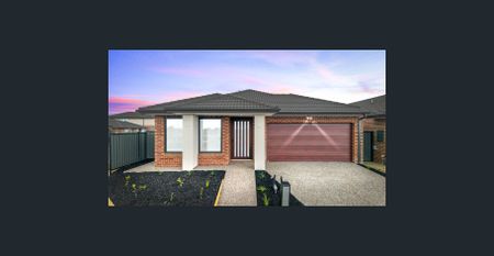 BRAND NEW LUXURY LIVING IN KALKALLO! - Photo 2