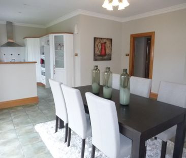 Beautiful in boulcott! - Photo 2