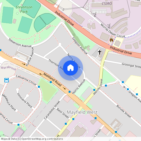 10 Thornton Avenue, NSW 2304, Mayfield West