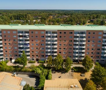 Skorpionens Gata 501, Brandbergen - Photo 6