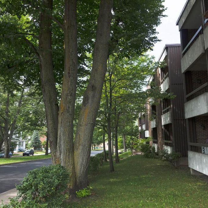 1 1/2 Ste-Foy - Tout inclus - près du cégep Garneau - juillet - Photo 1