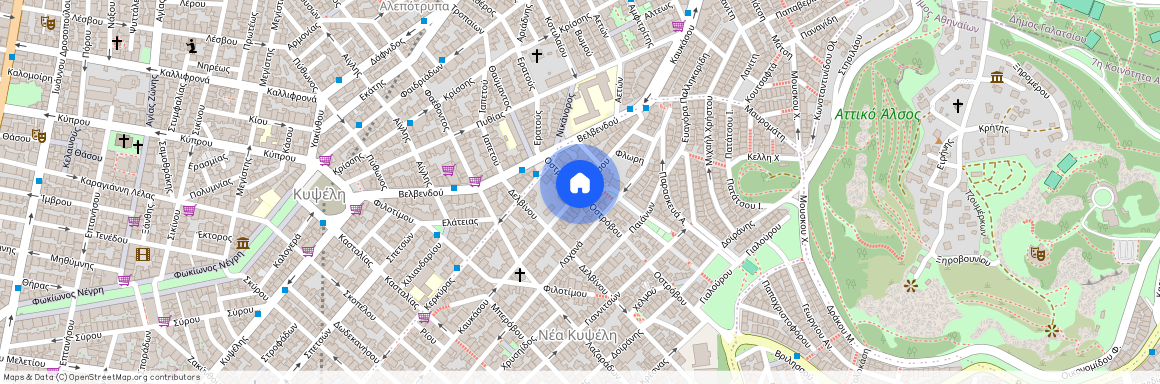 Νέα Κυψέλη, Κυψέλη