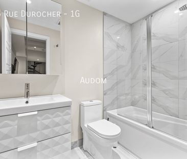 3546 Rue Durocher - 1G - Photo 1