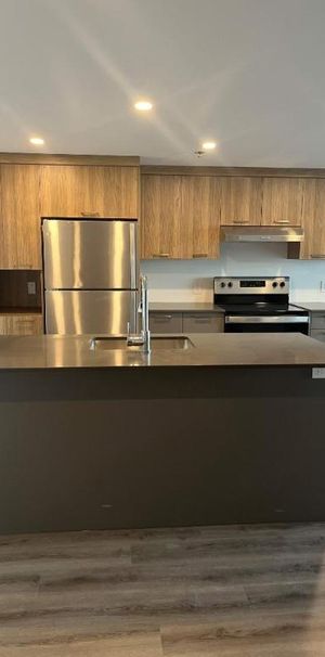 1 CH - 1 SDB - Terrebonne - $1,775 /mo - Photo 1