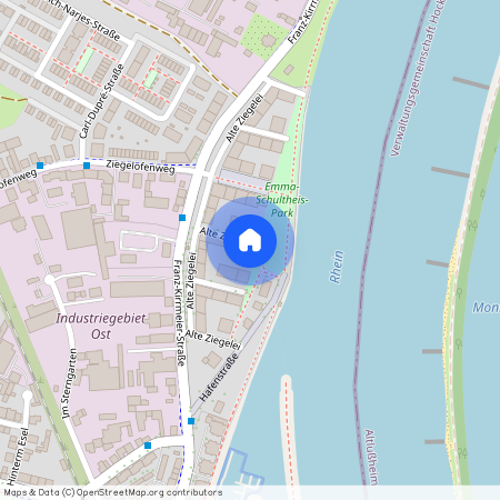 Alte Ziegelei 14, 67346 Speyer