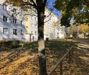 Viel sanierte Wohnfläche mit Weitblick. - Photo 6